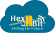 Hex N Bit